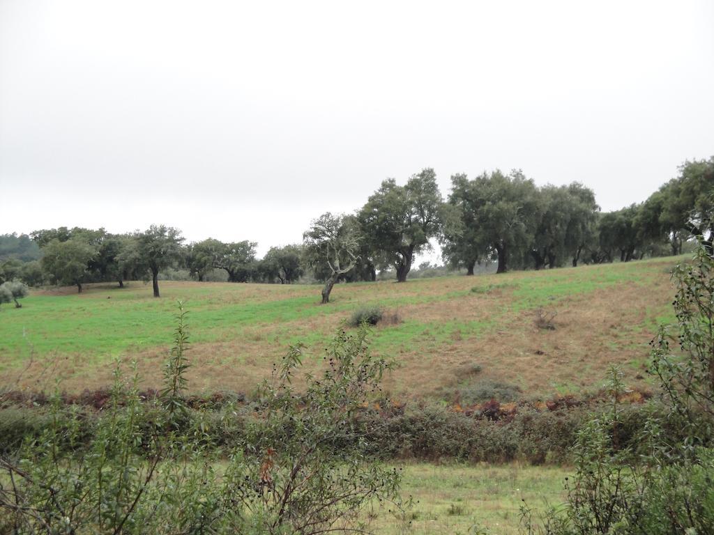 La Codosera Casa Rural Sierra San Mamede المظهر الخارجي الصورة