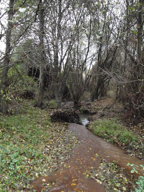La Codosera Casa Rural Sierra San Mamede المظهر الخارجي الصورة