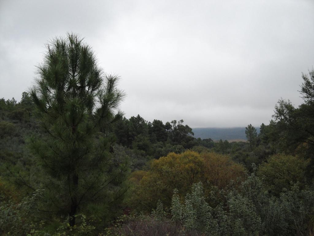 La Codosera Casa Rural Sierra San Mamede المظهر الخارجي الصورة