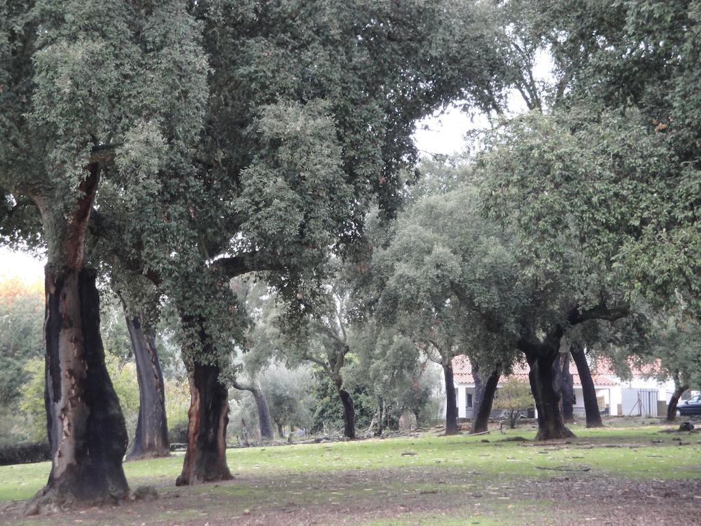 La Codosera Casa Rural Sierra San Mamede المظهر الخارجي الصورة